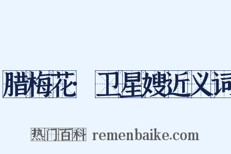 腊梅花·卫星嫂近义词是什么意思的图片